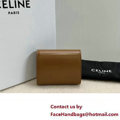 celine Small Wallet TRIOMPHE in Shiny calfskin Bronze 10D783 2023