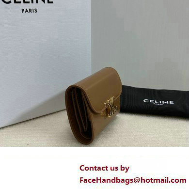 celine Small Wallet TRIOMPHE in Shiny calfskin Bronze 10D783 2023