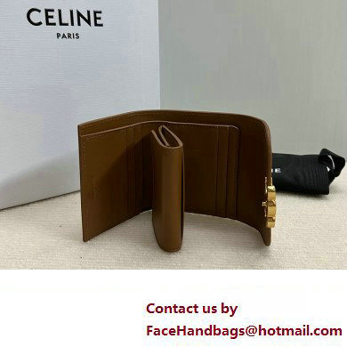 celine Small Wallet TRIOMPHE in Shiny calfskin Bronze 10D783 2023