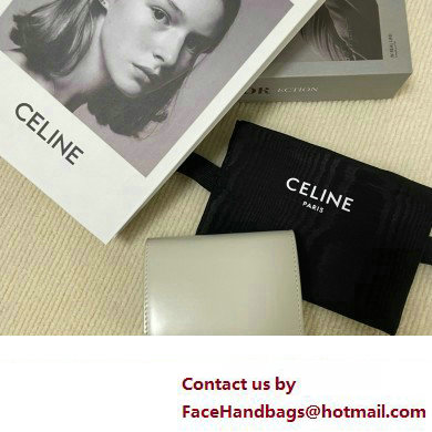 celine Small Wallet TRIOMPHE in Shiny calfskin gray 10D783 2023 - Click Image to Close