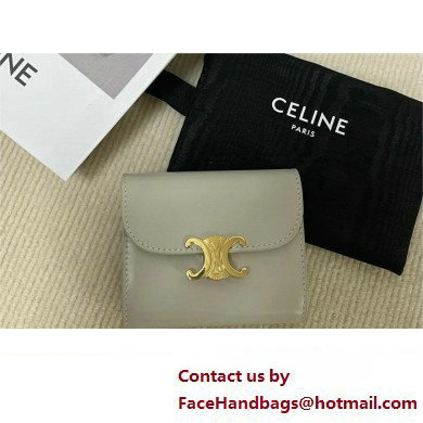 celine Small Wallet TRIOMPHE in Shiny calfskin gray 10D783 2023