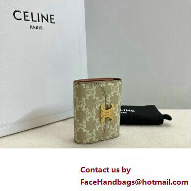 celine Small Wallet TRIOMPHE in TRIOMPHE CANVAS Grege 2024