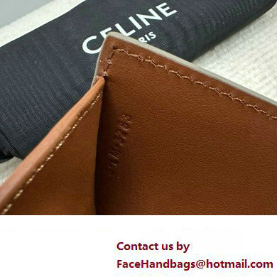 celine Small Wallet TRIOMPHE in TRIOMPHE CANVAS Grege 2024