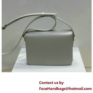 celine Teen Triomphe Bag in shiny calfskin green clay 2024