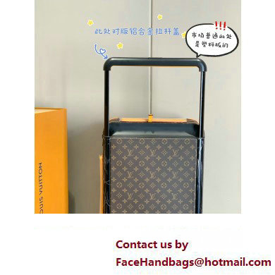 louis vuitton Horizon 55 SUITCASE M46762 jaune mat 2024