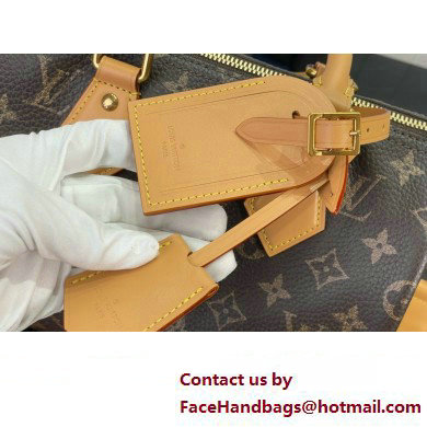 louis vuitton Speedy Bandouliere 25 bag M24443 2024