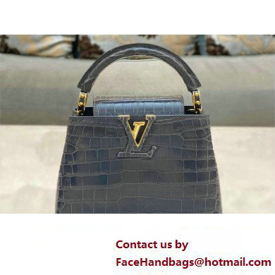 louis vuitton mini CAPUCINES bag dark gray in porosus leather with gold hardware