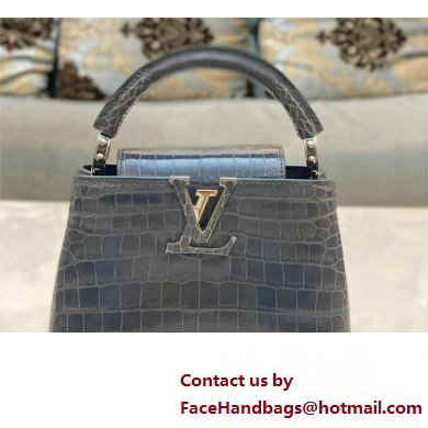 louis vuitton mini CAPUCINES bag dark gray in porosus leather with silver hardware - Click Image to Close