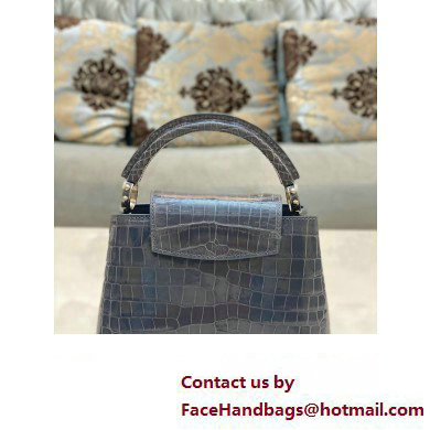 louis vuitton mini CAPUCINES bag dark gray in porosus leather with silver hardware