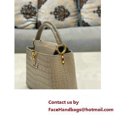 louis vuitton mini CAPUCINES bag in matt alligator leather gray with gold hardware