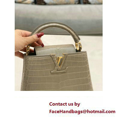 louis vuitton mini CAPUCINES bag in matt alligator leather gray with gold hardware