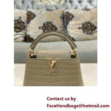 louis vuitton mini CAPUCINES bag in matt alligator leather gray with gold hardware