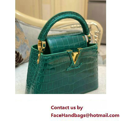 louis vuitton mini CAPUCINES bag jade green in porosus leather with gold hardware