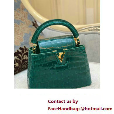 louis vuitton mini CAPUCINES bag jade green in porosus leather with gold hardware