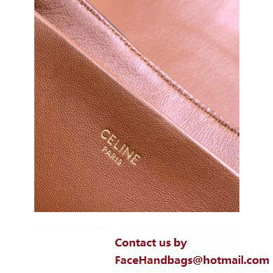 Celine Medium Victoire Bag in Triomphe Canvas Tan 2024