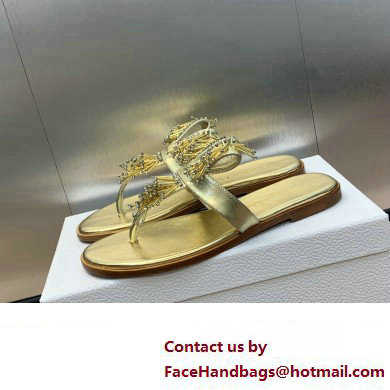 Dior Crystal Thong sandals Gold 2024