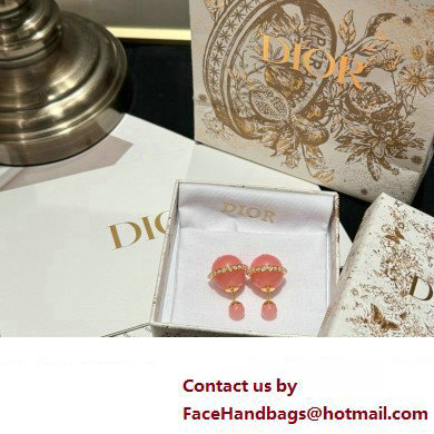 Dior Tribales Earrings pink 2024