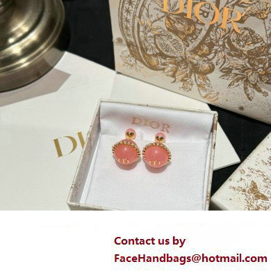 Dior Tribales Earrings pink 2024