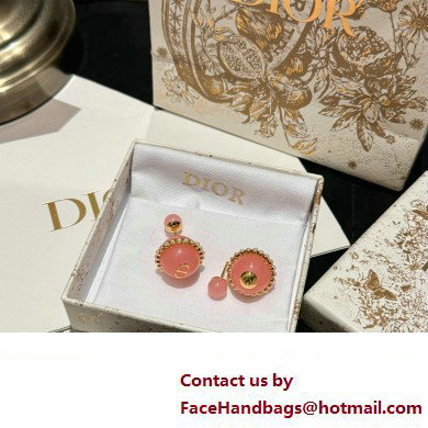 Dior Tribales Earrings pink 2024