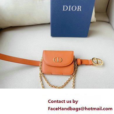 Dior Width 2cm Pouch Belt with Chain in Smooth Calfskin Brown 2024 - Click Image to Close