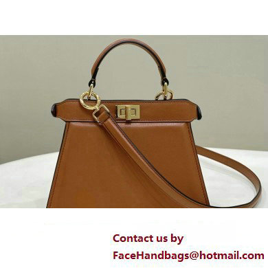 Fendi Peekaboo ISeeU Petite Bag in nappa Leather Brown 2024