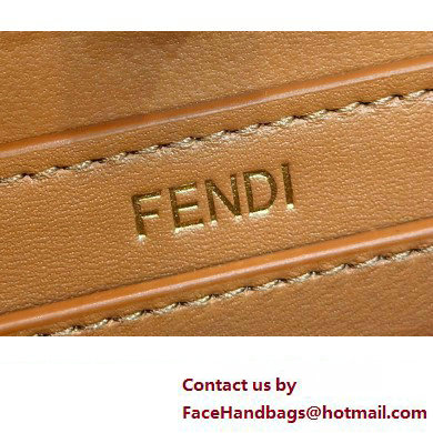 Fendi Peekaboo ISeeU Petite Bag in nappa Leather Brown 2024