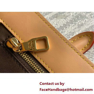 LOUIS VUITTON Monogram Craggy coated canvas Sac Plat bag M24859 2024