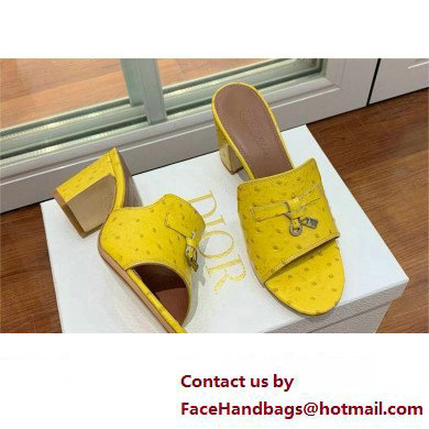 Loro Piana HEEL 8cm ostrich pattern leather summer charms mules yellow 2024 - Click Image to Close