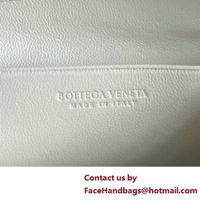 Bottega Veneta Intrecciato metallic leather pouch white 2025