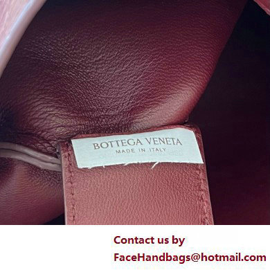 Bottega Veneta crocodile pattern leather Sardine Top handle bag barolo 2025