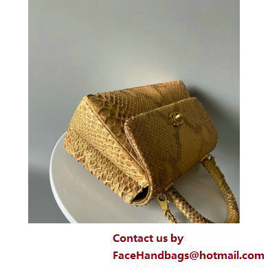 CHANEL COCO Top Handle Bag in python leather GOLD 2025