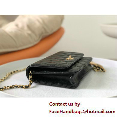 CHANEL Wallet on Chain IN Shiny Crumpled Calfskin AP3785 BLACK 2025