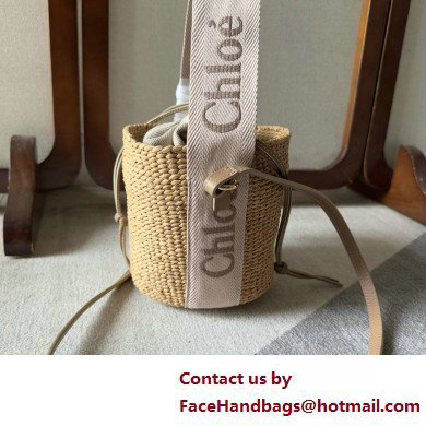 CHLOE Small Woody basket 01 2025 - Click Image to Close