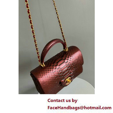 Chanel Mini Flap Bag with Top Handle in python leather AS2431 02 2025 - Click Image to Close