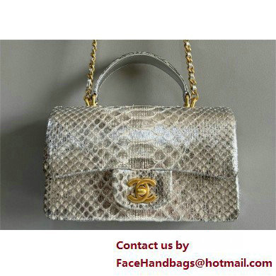 Chanel Mini Flap Bag with Top Handle in python leather AS2431 04 2025