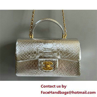 Chanel Mini Flap Bag with Top Handle in python leather AS2431 06 2025