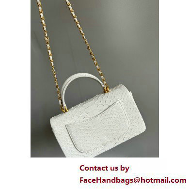 Chanel Mini Flap Bag with Top Handle in python leather AS2431 08 2025