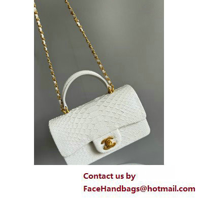 Chanel Mini Flap Bag with Top Handle in python leather AS2431 08 2025