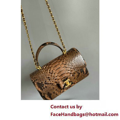 Chanel Mini Flap Bag with Top Handle in python leather AS2431 12 2025