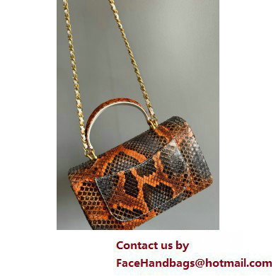 Chanel Mini Flap Bag with Top Handle in python leather AS2431 13 2025