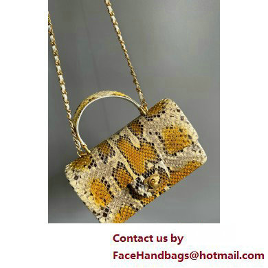 Chanel Mini Flap Bag with Top Handle in python leather AS2431 14 2025