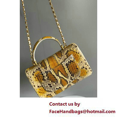 Chanel Mini Flap Bag with Top Handle in python leather AS2431 14 2025