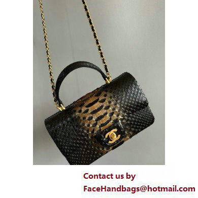 Chanel Mini Flap Bag with Top Handle in python leather AS2431 15 2025