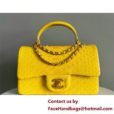 Chanel Mini Flap Bag with Top Handle in python leather AS2431 16 2025