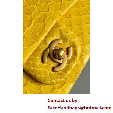 Chanel Mini Flap Bag with Top Handle in python leather AS2431 16 2025