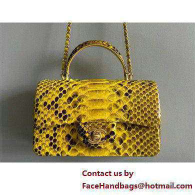 Chanel Mini Flap Bag with Top Handle in python leather AS2431 17 2025