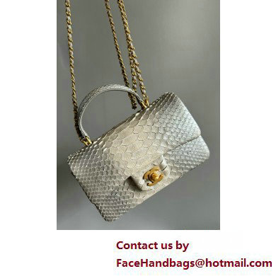 Chanel Mini Flap Bag with Top Handle in python leather AS2431 19 2025