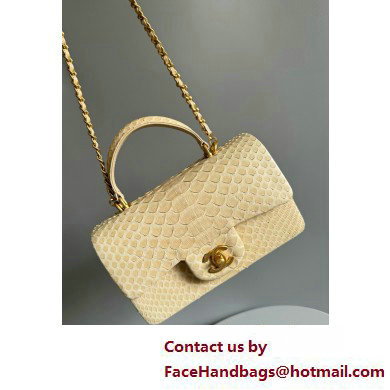 Chanel Mini Flap Bag with Top Handle in python leather AS2431 21 2025