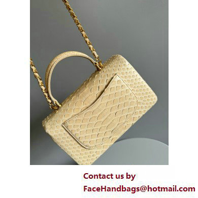 Chanel Mini Flap Bag with Top Handle in python leather AS2431 21 2025