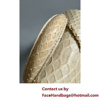 Chanel Mini Flap Bag with Top Handle in python leather AS2431 21 2025